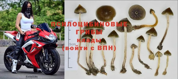 ALPHA PVP Алексин